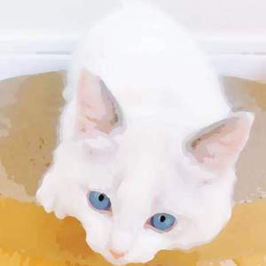 亚洲人撒尿特写HD
